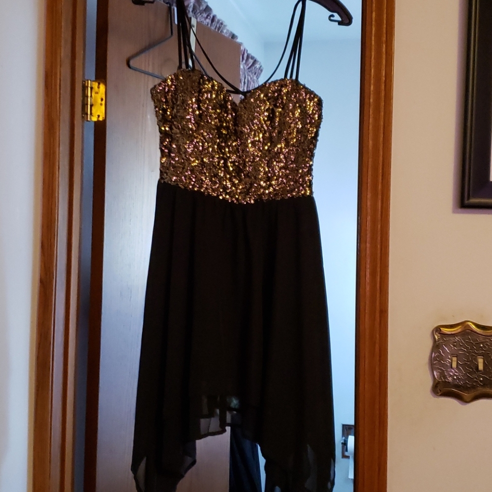 Speechless sequence dress.